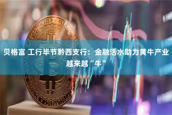 贝格富 工行毕节黔西支行：金融活水助力黄牛产业越来越“牛”