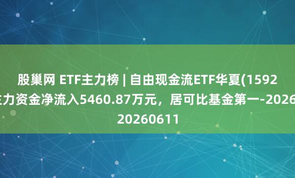股巢网 ETF主力榜 | 自由现金流ETF华夏(159201)主力资金净流入5460.87万元，居可比基金第一-20260611