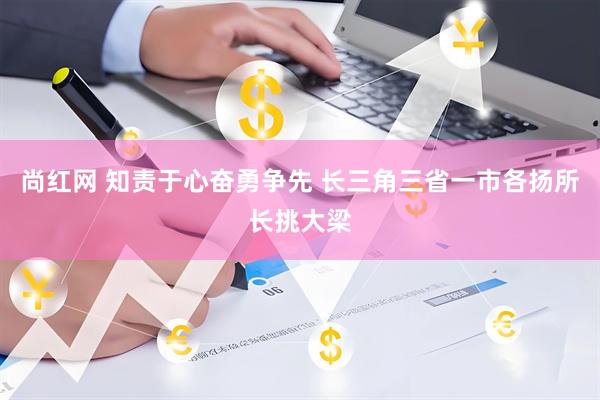 尚红网 知责于心奋勇争先 长三角三省一市各扬所长挑大梁