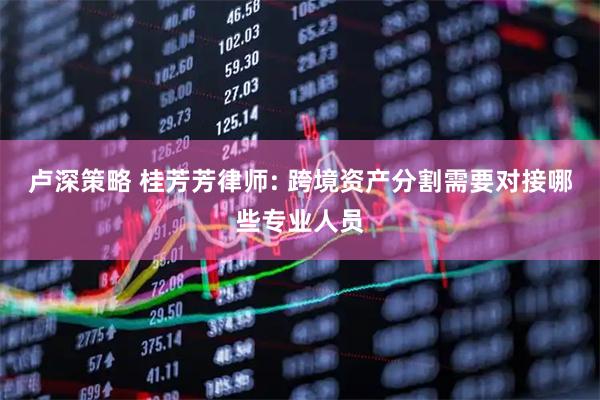 卢深策略 桂芳芳律师: 跨境资产分割需要对接哪些专业人员